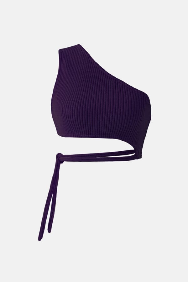 Seeker – Purple Rib Knit Crop Top